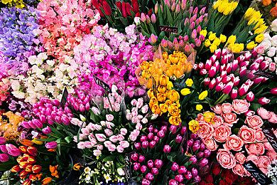 《霍格沃茨之遗》有跨性别角色 但只是象征性的